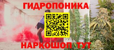 тгк Лесосибирск