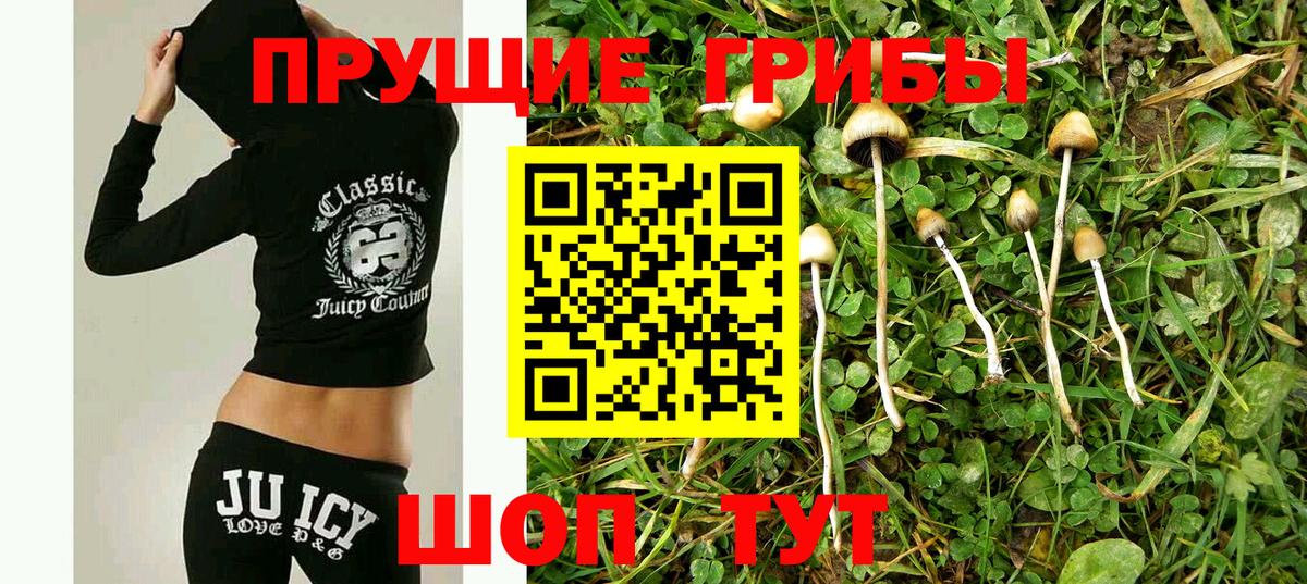 Галлюциногенные грибы MAGIC MUSHROOMS  Галлюциногенные грибы мицелий  Иваново  Вход с VPN 